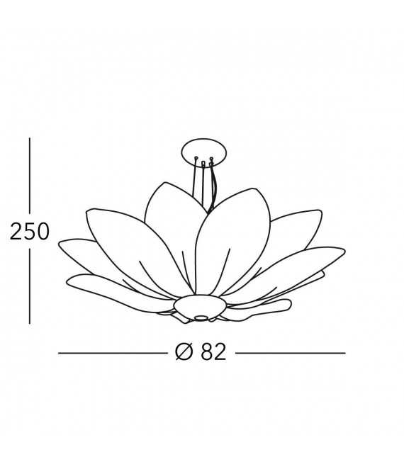 product - 5