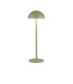 Portabello outdoor LED table lamp Clear Aluminum, matt green