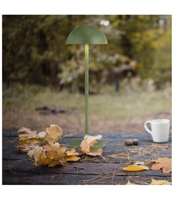 Portabello outdoor LED table lamp Clear Aluminum, matt green
