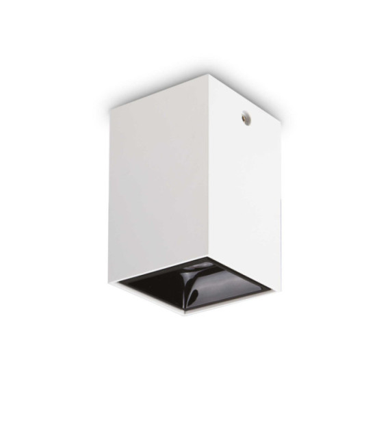 Nitro Metal Ceiling Light, White Aluminum