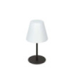 Lampe sur pied extérieur Arcadia Métal,Plastique Gris anthracite
