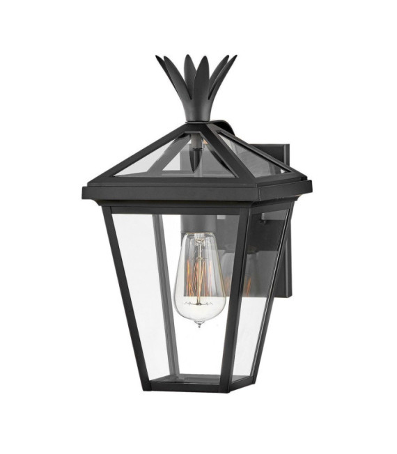 Außenwandleuchte Palma Aluminium, transparentes Glas Schwarz