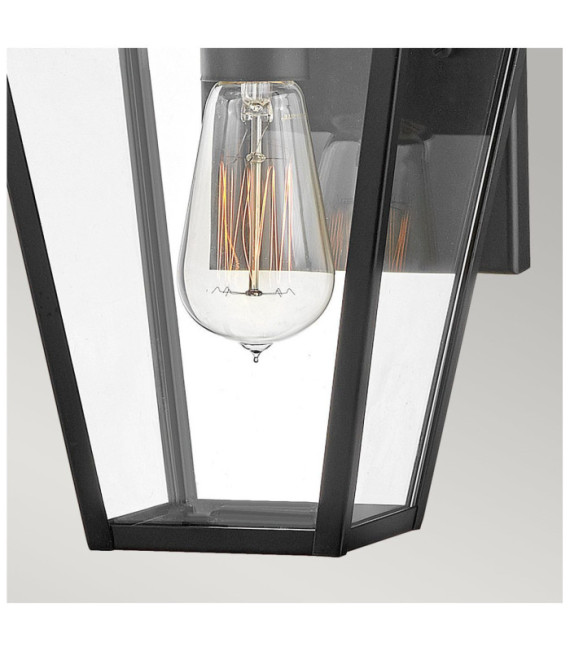 Palma aplique exterior Aluminio, cristal transparente Negro