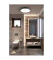 Plafonnier Salle de bains Phoenix Acier doux,verre Noir