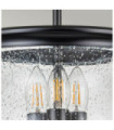Pickering pendant light Transparent grained glass, Black steel