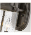 Hinkley Outdoor Wall Sconce Clear Seeded Glass, Weather Resistant Composite, Oil Rubbed Bronze