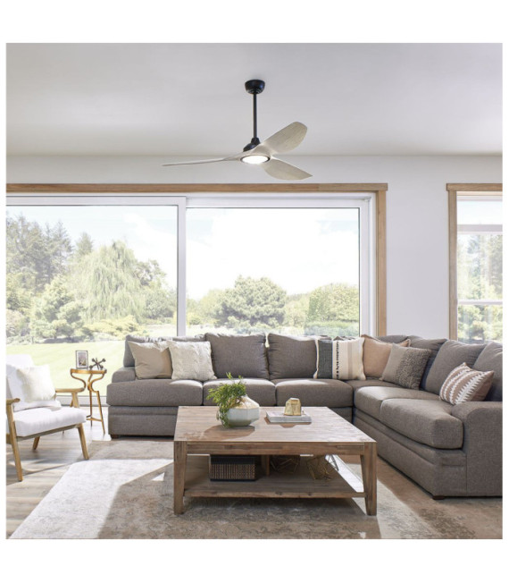 Imari Fan Steel Satin Black