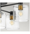 Hinkley ceiling light Clear glass, black steel with heritage brass