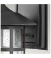Hinkley Outdoor Wall Light Clear Seeded Glass, Weather Resistant Composite, Textured Black