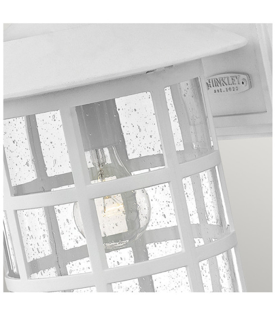 Applique murale extérieur Hinkley Verre à graines transparent,composite résistant aux intempéries, Blanc texturé