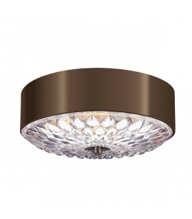 Plafoniera botanica, 35,2 cm, ottone anticato scuro, vetro acidato