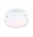 Garden ceiling lamp LUNA White