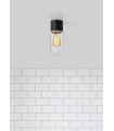 Plafonnier de salle de bains ZEN Noir 1 ampoule